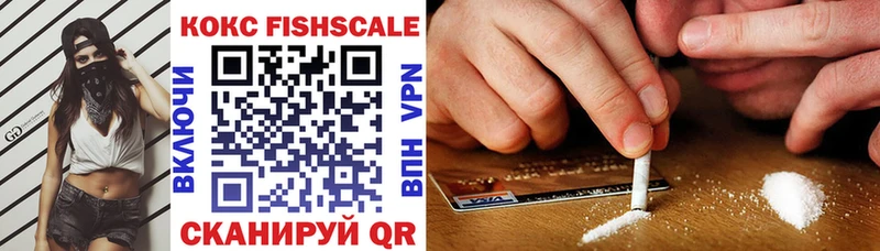 COCAIN Fish Scale  где купить   Сосновка 