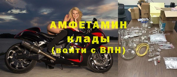 мяу мяу мука Аркадак