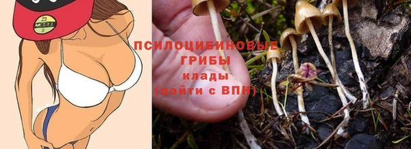 мяу мяу мука Аркадак