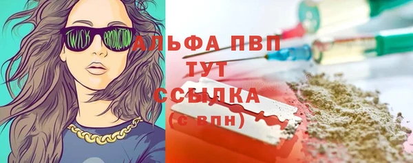 мяу мяу мука Аркадак